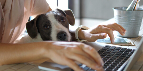 home office definitivo como funciona