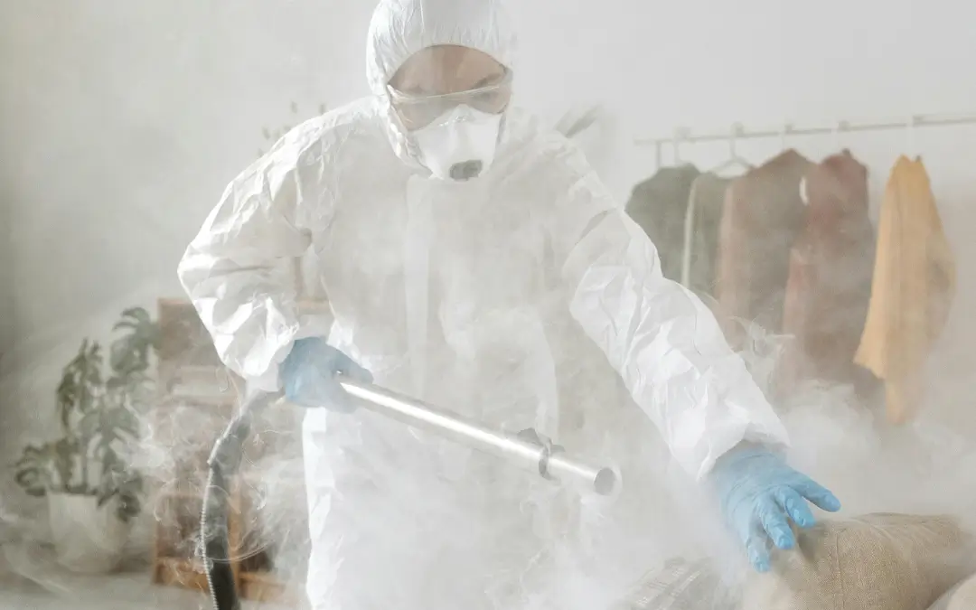 mulher fazendo dedetização