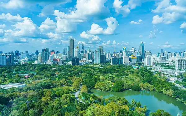 paisagem de metrópole ao fundo com ampla vegetação à frente
